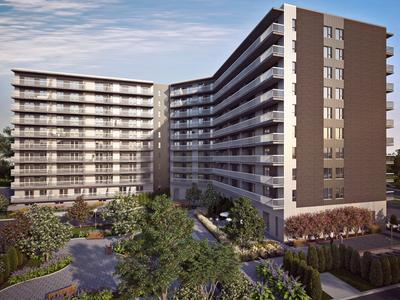 Le Dufferin — Rénovation en opération